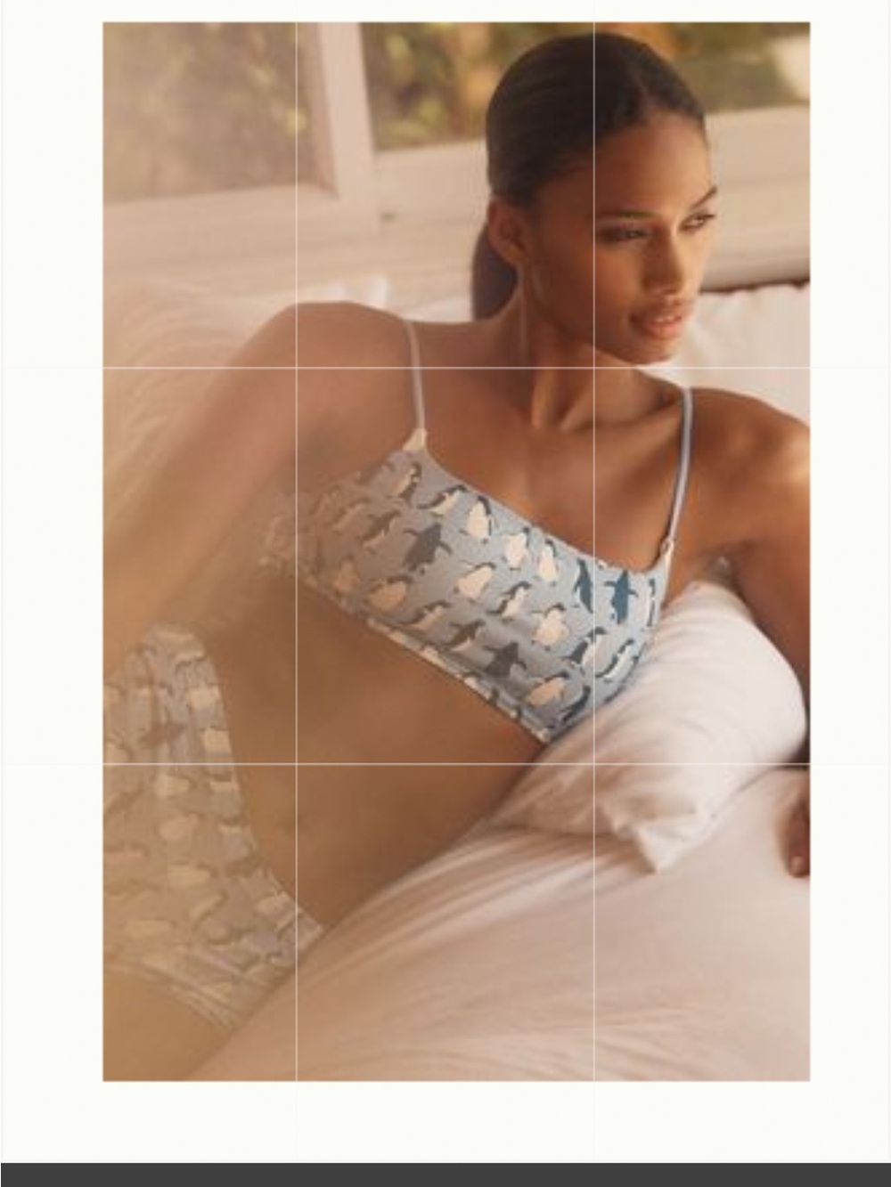 Anthropologie Blue and White Printed Bralette penguins size S/M new